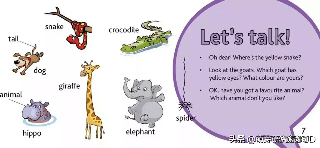 英语早教 幼儿早教英语单词