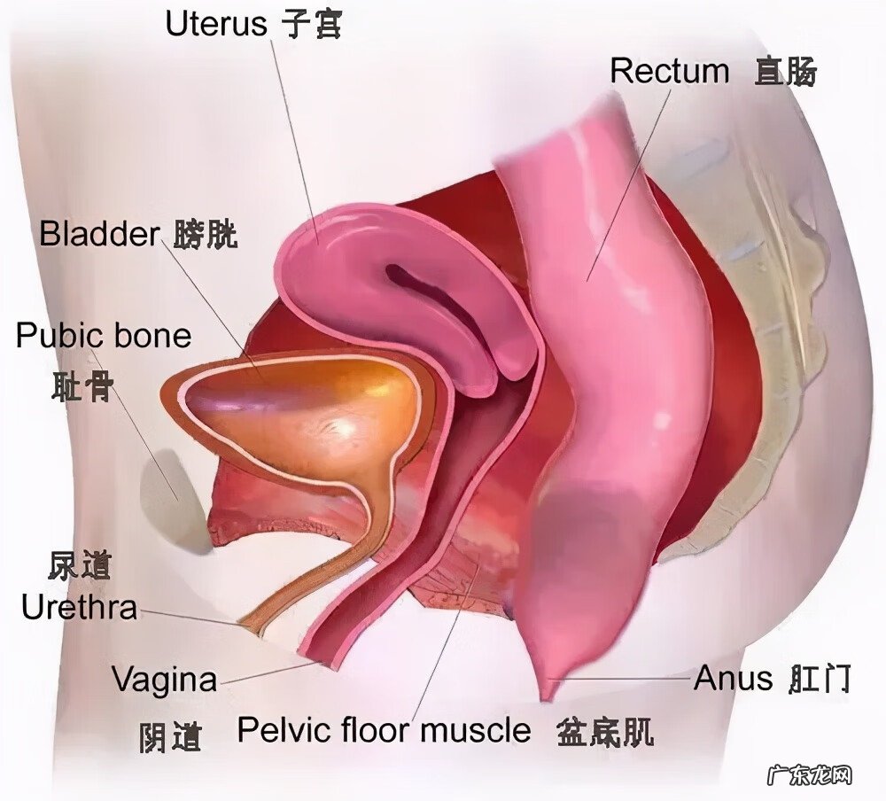 女性产后下面松弛怎么办 女性产后松弛怎么办