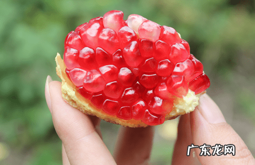 吃石榴上火吗 石榴上火吗 为什么