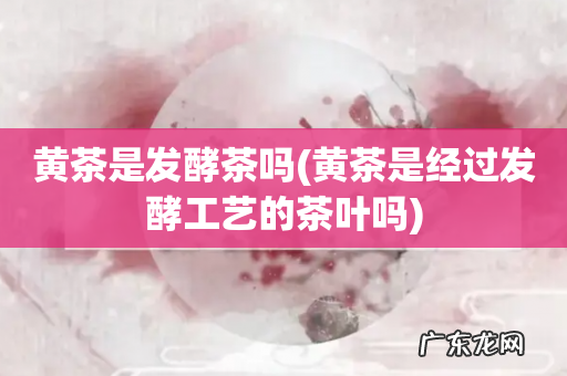 黄茶是经过发酵工艺的茶叶吗 黄茶是发酵茶吗