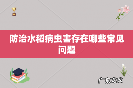 防治水稻病虫害存在哪些常见问题