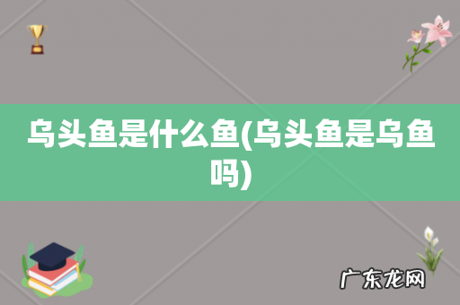 乌头鱼是乌鱼吗 乌头鱼是什么鱼