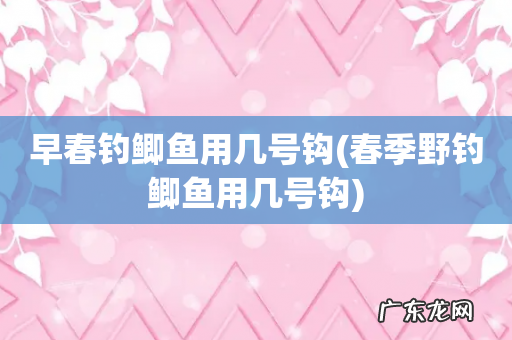 春季野钓鲫鱼用几号钩 早春钓鲫鱼用几号钩