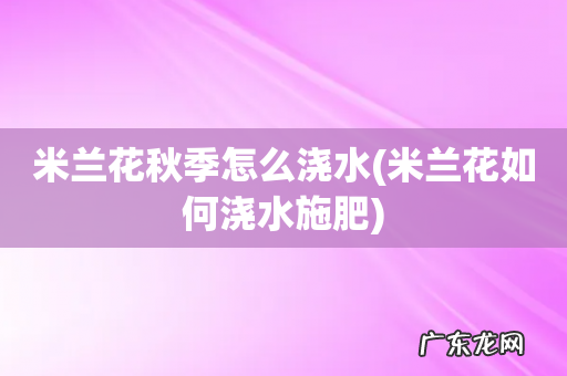 米兰花如何浇水施肥 米兰花秋季怎么浇水