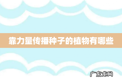 靠力量传播种子的植物有哪些