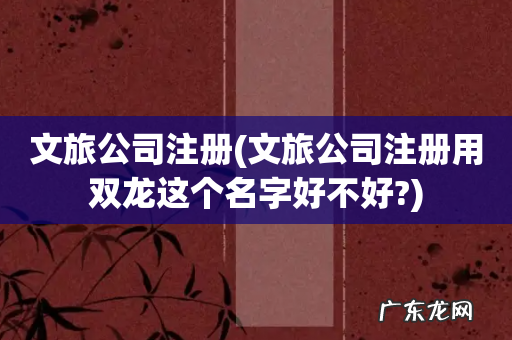 文旅公司注册用双龙这个名字好不好? 文旅公司注册