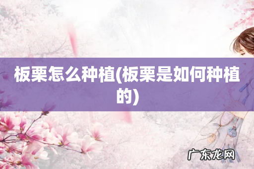 板栗是如何种植的 板栗怎么种植