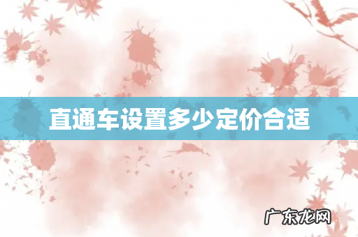 直通车设置多少定价合适