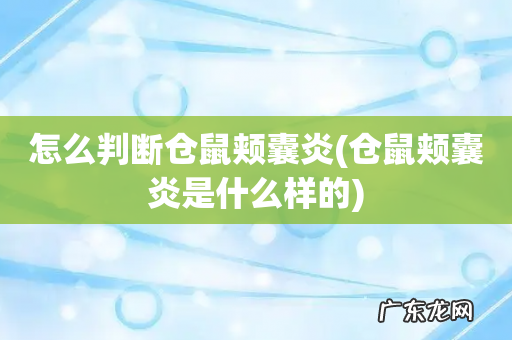 仓鼠颊囊炎是什么样的 怎么判断仓鼠颊囊炎