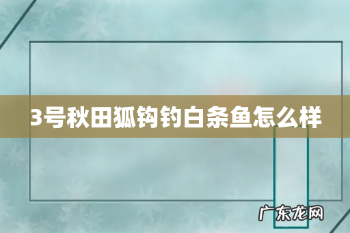 3号秋田狐钩钓白条鱼怎么样