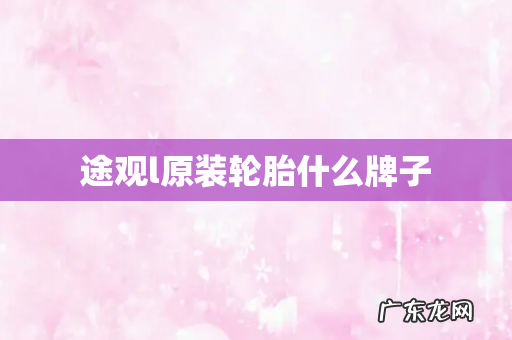 途观l原装轮胎什么牌子