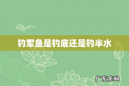 钓军鱼是钓底还是钓半水