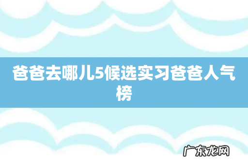 爸爸去哪儿5候选实习爸爸人气榜