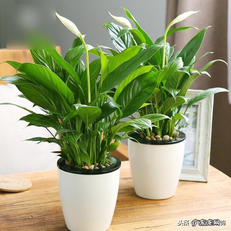 风水实图讲解 风水图文大百科