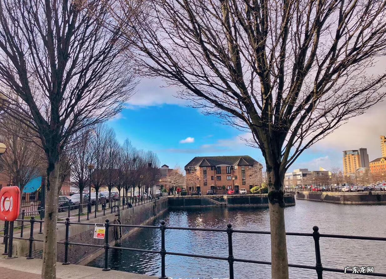 雅思是什么专业 雅思是什么