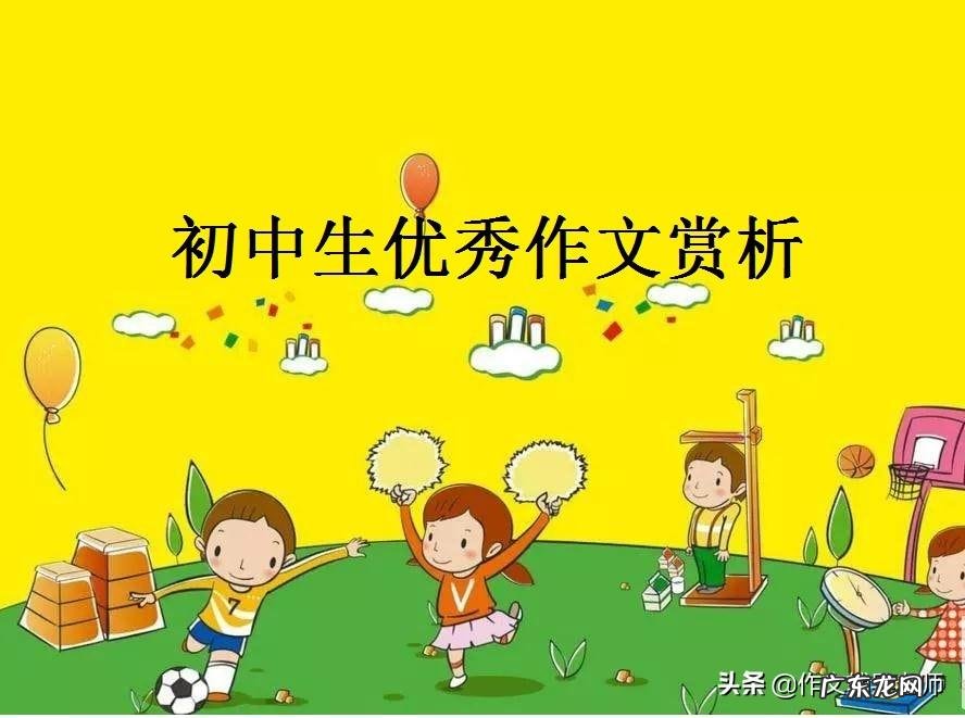 我眼中的风景写人 我眼中的风景作文700字