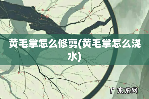 黄毛掌怎么浇水 黄毛掌怎么修剪