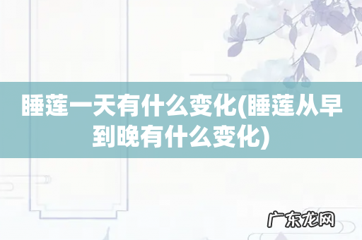 睡莲从早到晚有什么变化 睡莲一天有什么变化