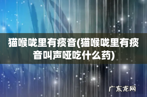 猫喉咙里有痰音叫声哑吃什么药 猫喉咙里有痰音