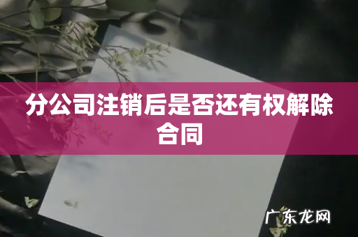 分公司注销后是否还有权解除合同
