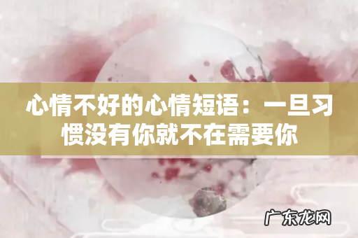 心情不好的心情短语:一旦习惯没有你就不在需要你