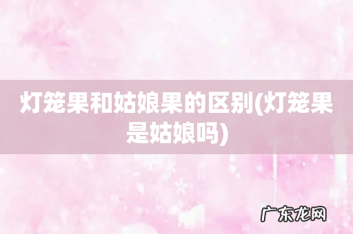 灯笼果是姑娘吗 灯笼果和姑娘果的区别