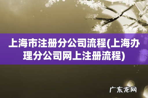 上海办理分公司网上注册流程 上海市注册分公司流程