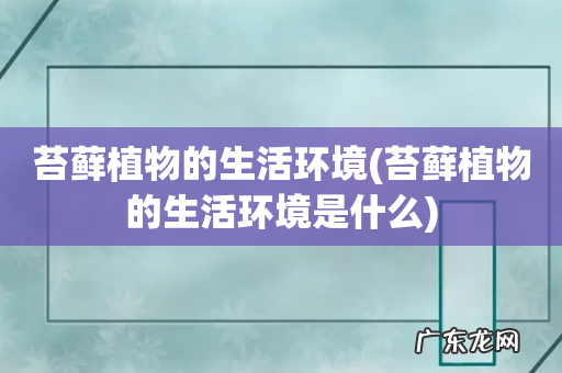 苔藓植物的生活环境是什么 苔藓植物的生活环境