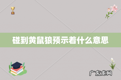 碰到黄鼠狼预示着什么意思