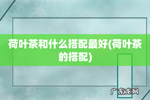 荷叶茶的搭配 荷叶茶和什么搭配最好