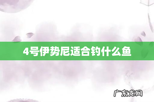 4号伊势尼适合钓什么鱼