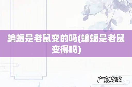 蝙蝠是老鼠变得吗 蝙蝠是老鼠变的吗