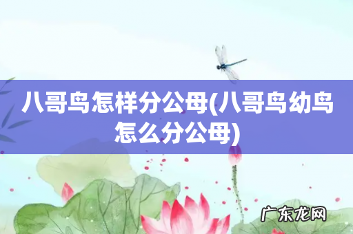 八哥鸟幼鸟怎么分公母 八哥鸟怎样分公母