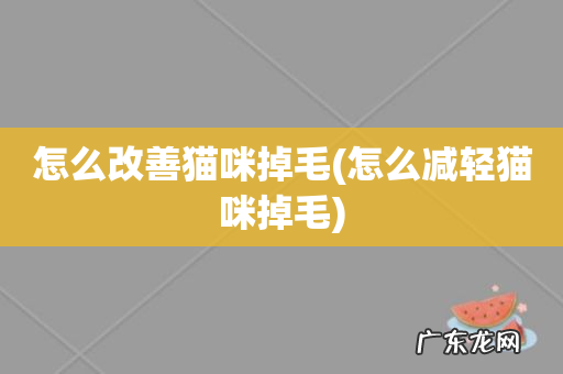 怎么减轻猫咪掉毛 怎么改善猫咪掉毛