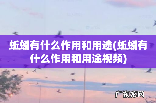 蚯蚓有什么作用和用途视频 蚯蚓有什么作用和用途