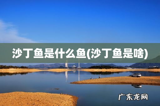 沙丁鱼是啥 沙丁鱼是什么鱼