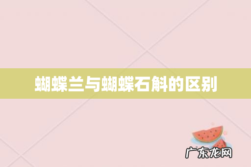 蝴蝶兰与蝴蝶石斛的区别