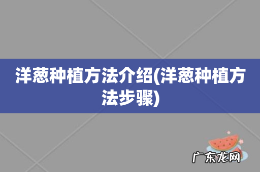 洋葱种植方法步骤 洋葱种植方法介绍