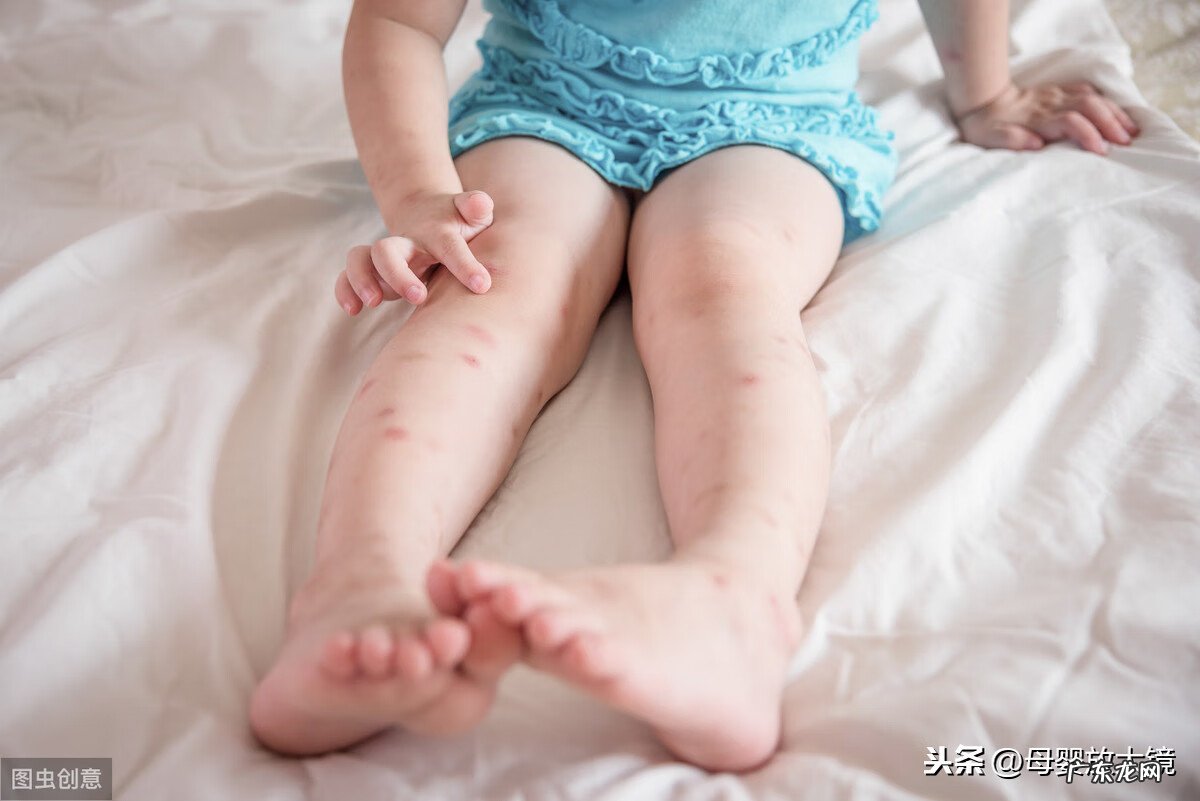 妈咪爱与思密达哪个好 妈咪爱和思密达有什么区别