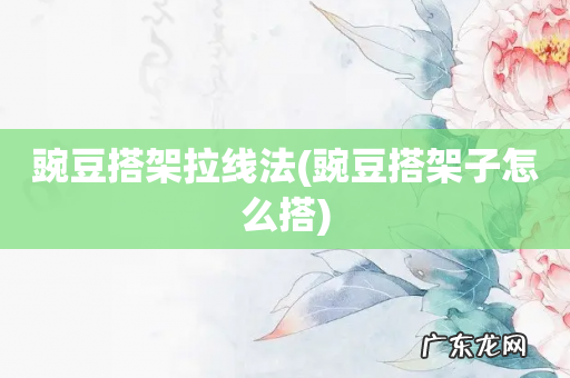 豌豆搭架子怎么搭 豌豆搭架拉线法