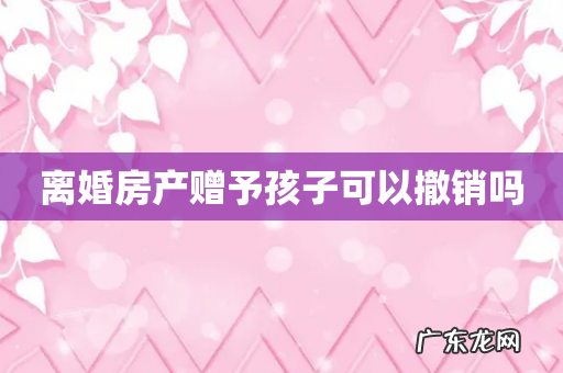 离婚房产赠予孩子可以撤销吗