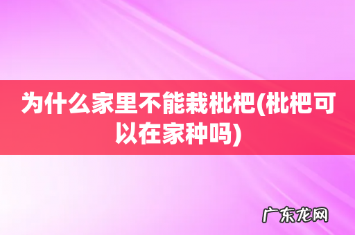 枇杷可以在家种吗 为什么家里不能栽枇杷