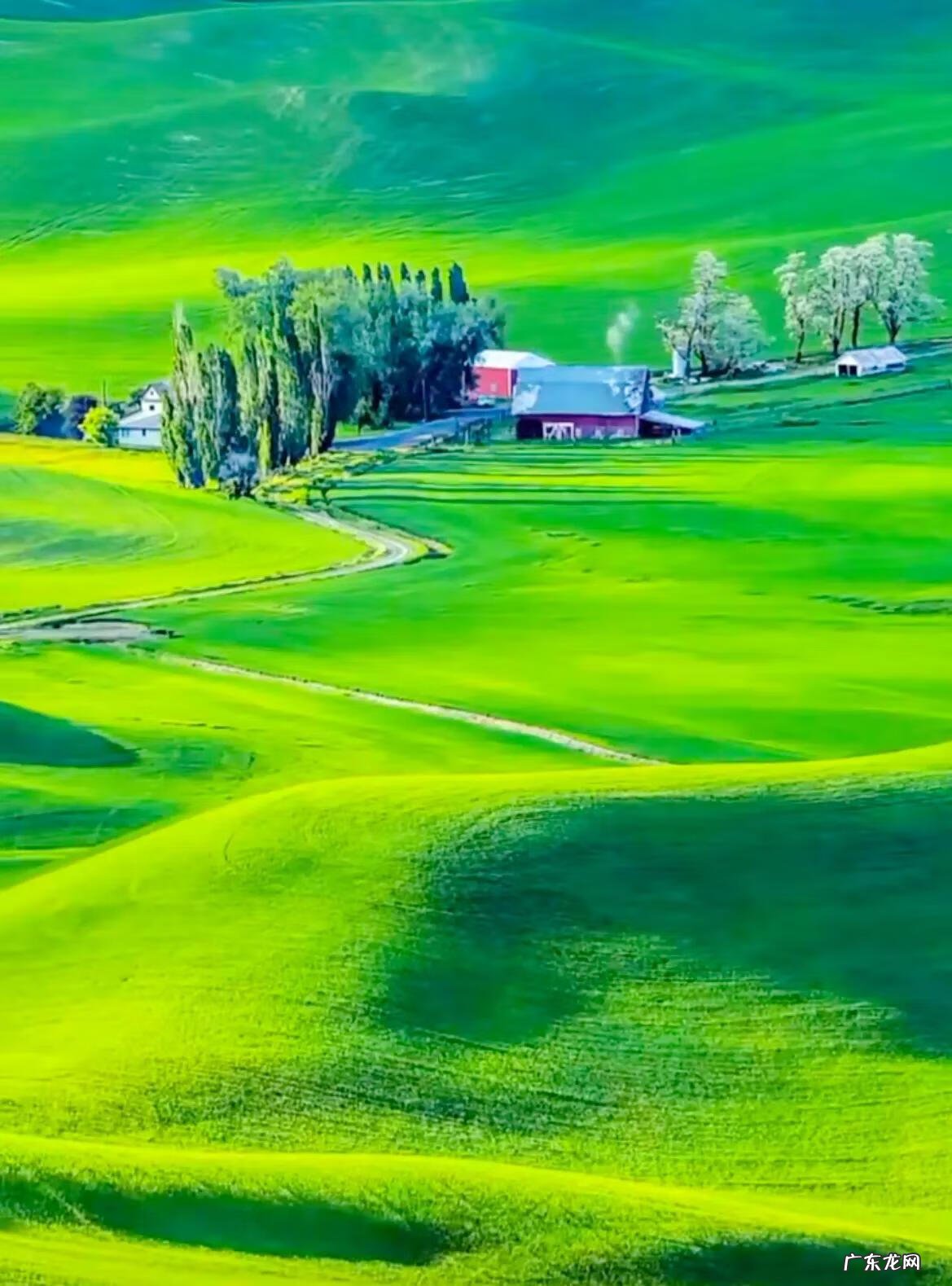 平和的心态,稳定的情绪 形容心境平和