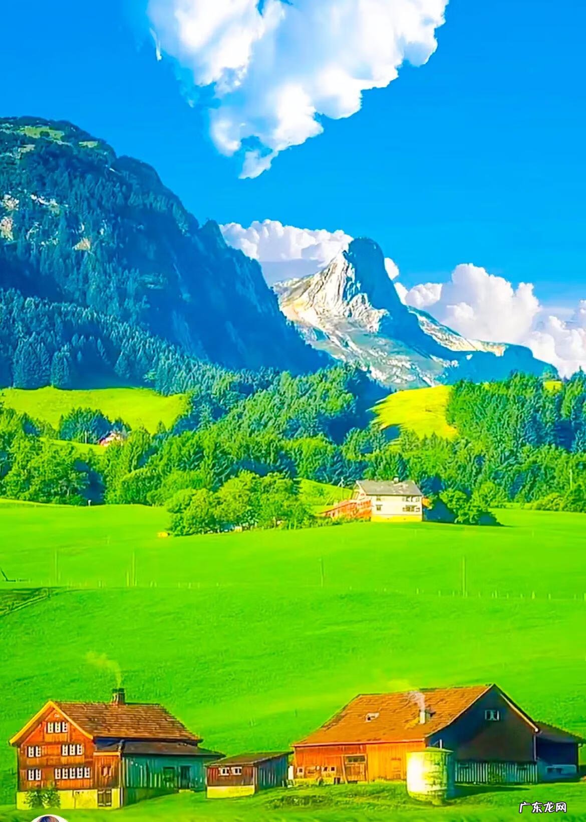 平和的心态,稳定的情绪 形容心境平和