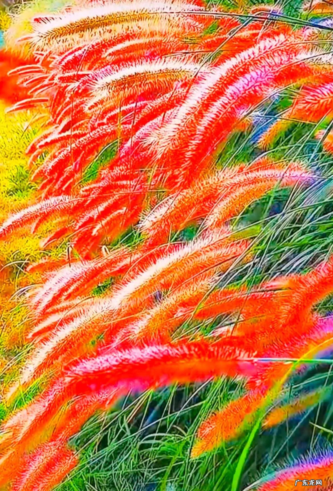 平和的心态,稳定的情绪 形容心境平和