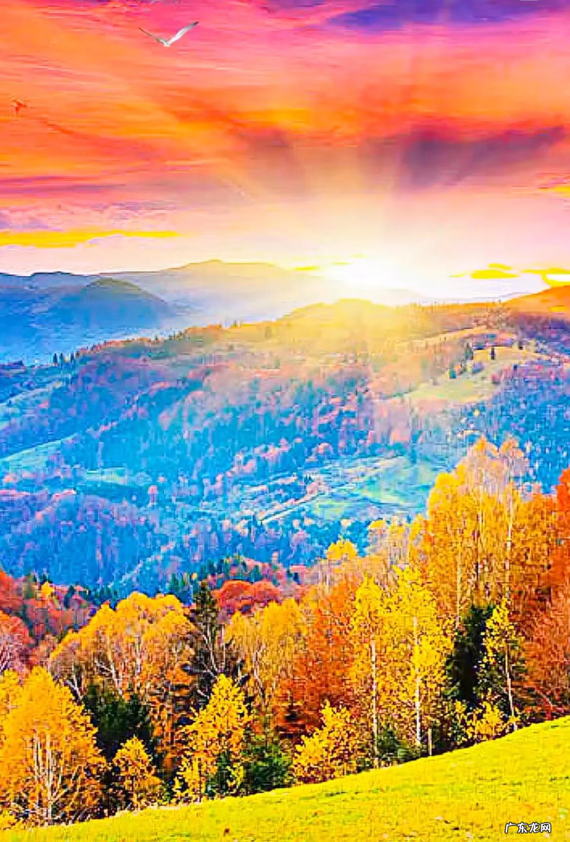 平和的心态,稳定的情绪 形容心境平和