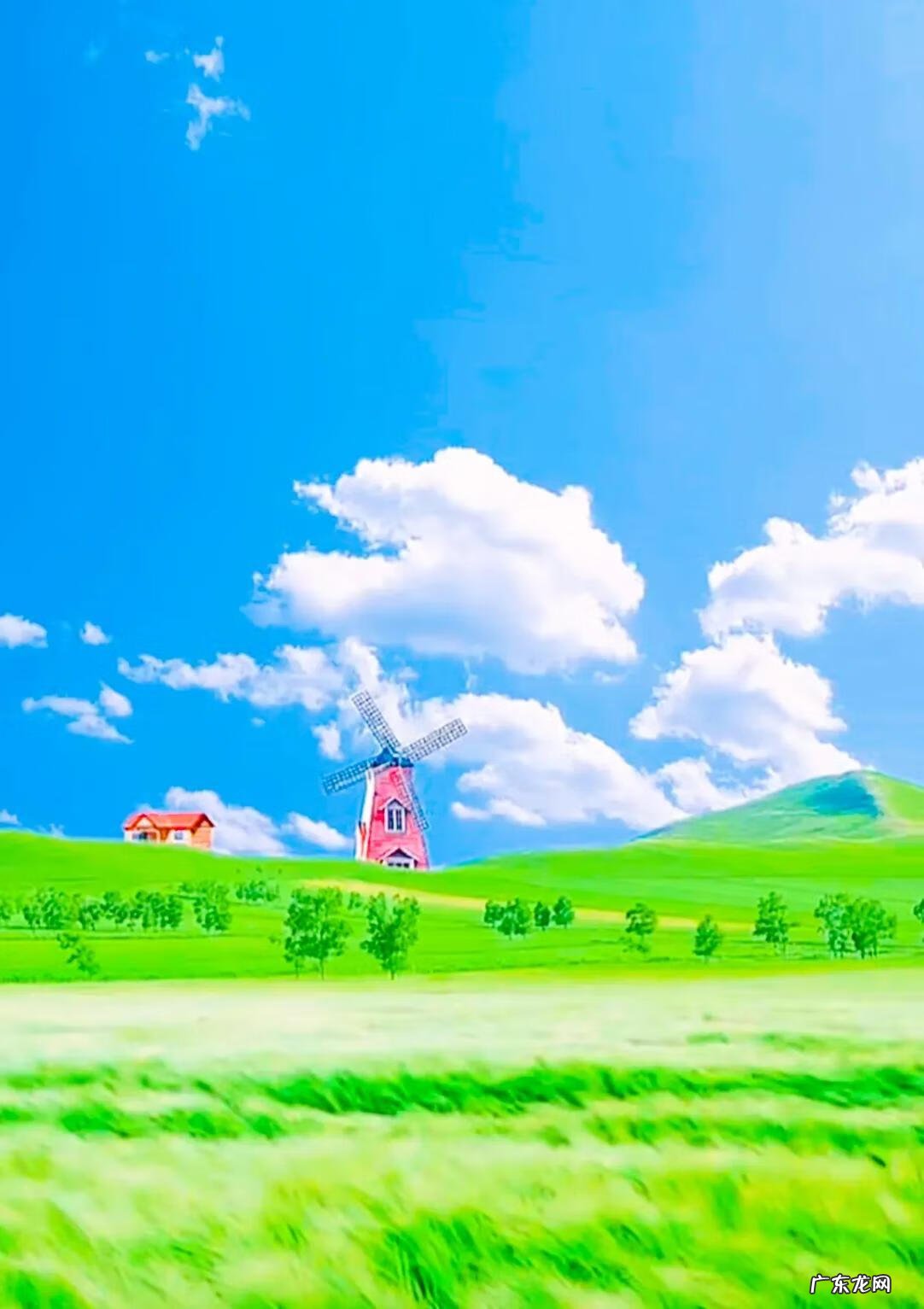 平和的心态,稳定的情绪 形容心境平和