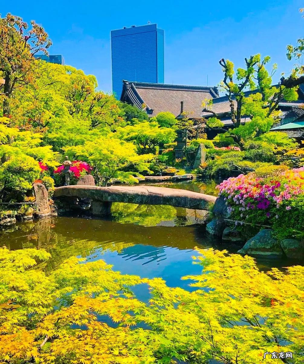 平和的心态,稳定的情绪 形容心境平和