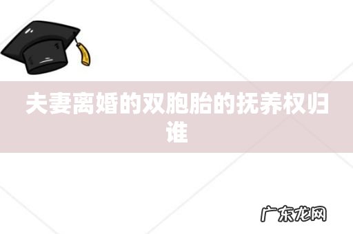 夫妻离婚的双胞胎的抚养权归谁