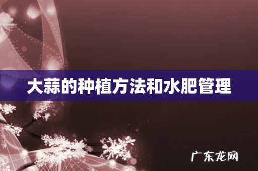 大蒜的种植方法和水肥管理